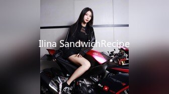 Ilina SandwichRecipe