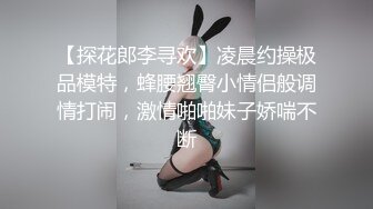 【探花郎李寻欢】凌晨约操极品模特，蜂腰翘臀小情侣般调情打闹，激情啪啪妹子娇喘不断