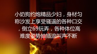 小奶狗约炮精品少妇，身材匀称沙发上享受骚逼的各种口交，倒立69玩弄，各种体位高难度姿势抽插浪叫声不断