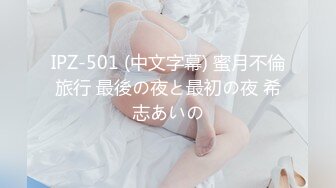 IPZ-501 (中文字幕) 蜜月不倫旅行 最後の夜と最初の夜 希志あいの