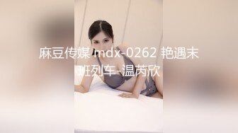 麻豆传媒 mdx-0262 艳遇末班列车-温芮欣