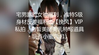 宅男露脸女神福利，推特S级身材反差福利姬【挽风】VIP私拍，白皙美腿美乳特写道具玩弄小蜜穴 (1)