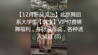 【12月新品流出】北京舞蹈系大学生【琪宝】VIP付费裸舞福利，身材没得说，各种诱人挑逗 (3)