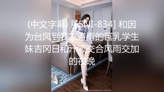 (中文字幕) [SSNI-834] 和因为台风到我家避雨的巨乳学生妹吉冈日和汁液交合风雨交加的夜晚