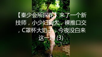 【秦少会所探花】来了一个新技师，小少妇胸大，裸推口交，C罩杯大奶子，今夜没白来这一趟 (3)