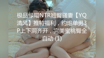 极品绿帽NTR翘臀骚妻【YQ清风】推特福利，约炮单男3P上下洞齐开，完美蜜桃臀全自动 (1)