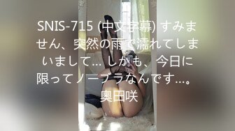 SNIS-715 (中文字幕) すみません、突然の雨で濡れてしまいまして… しかも、今日に限ってノーブラなんです…。 奧田咲