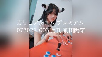 カリビアンコム プレミアム 073021_003 月刊 前田陽菜